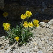 SouthernSierra 422 : SouthernSierra